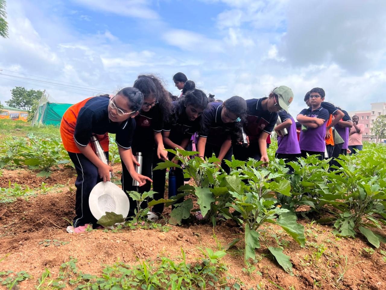 Watering the vegetable beds at the Centre for Agri Tourism
