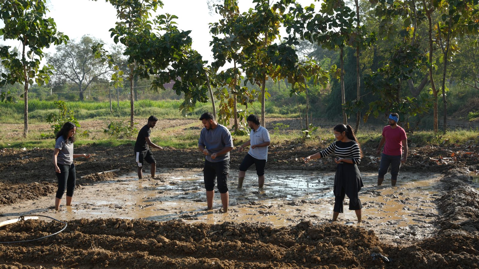 Into the paddy field at the Centre for Agri Tourism