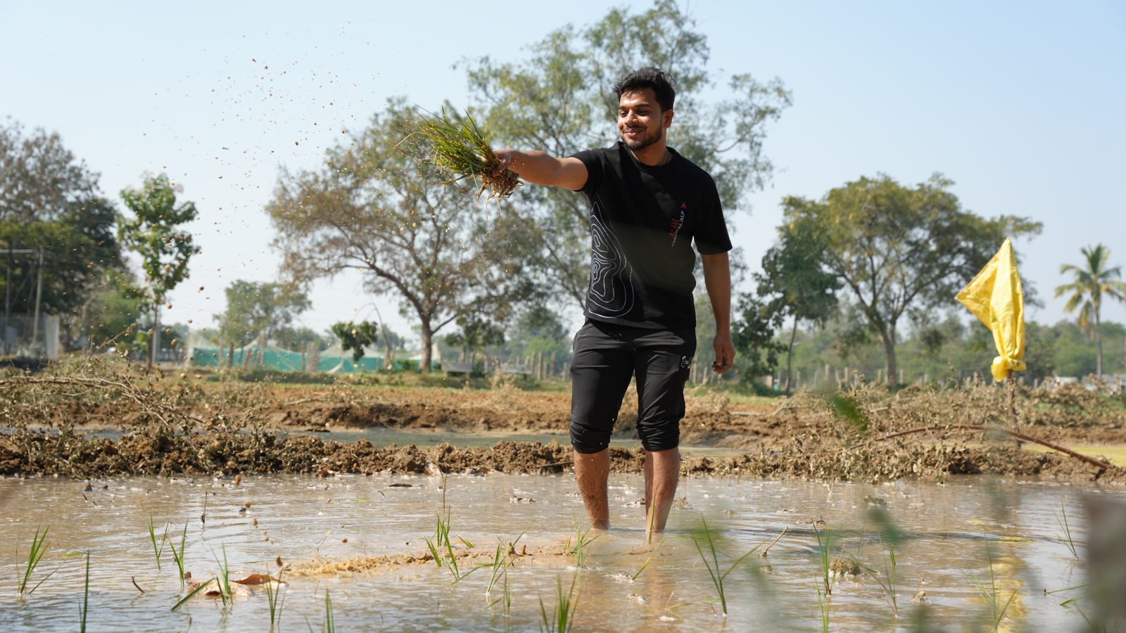 Transplanting rice seedlings at the Centre for Agri Tourism